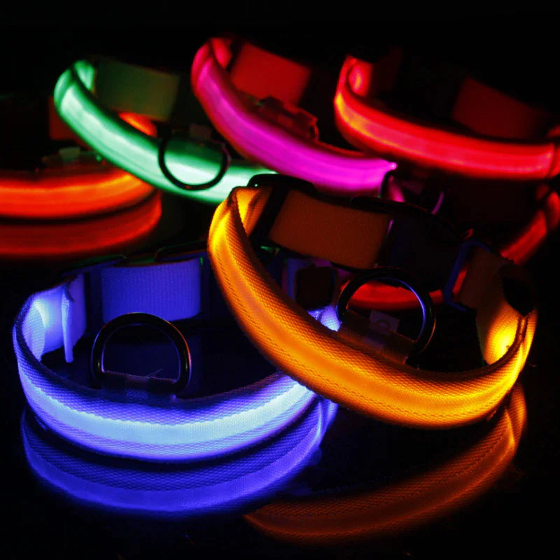 Light Up Dog Leash