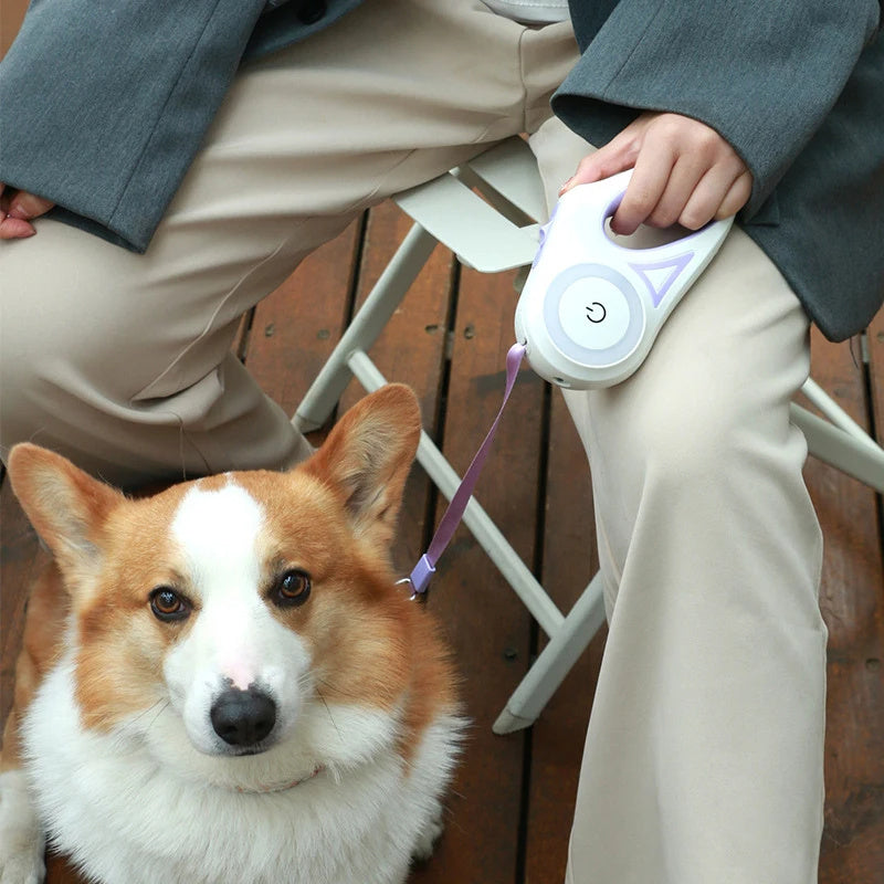 Light Up Dog Leash With Flashlight