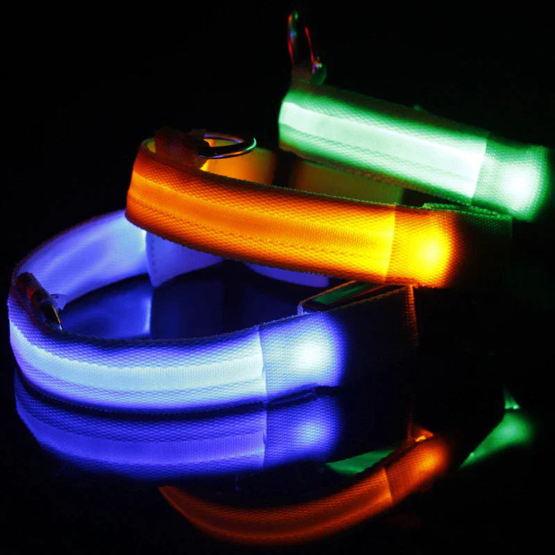 Light Up Dog Leash