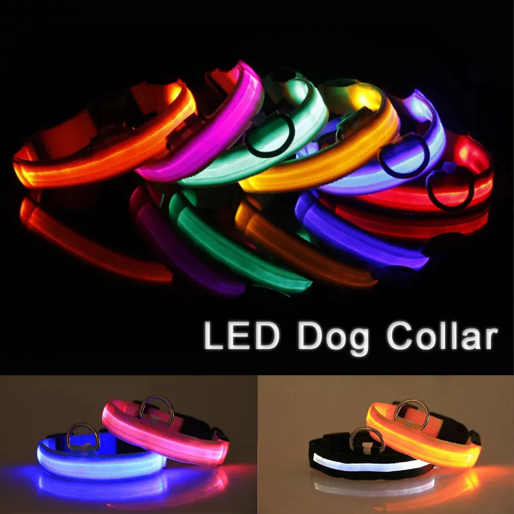 Light Up Dog Leash