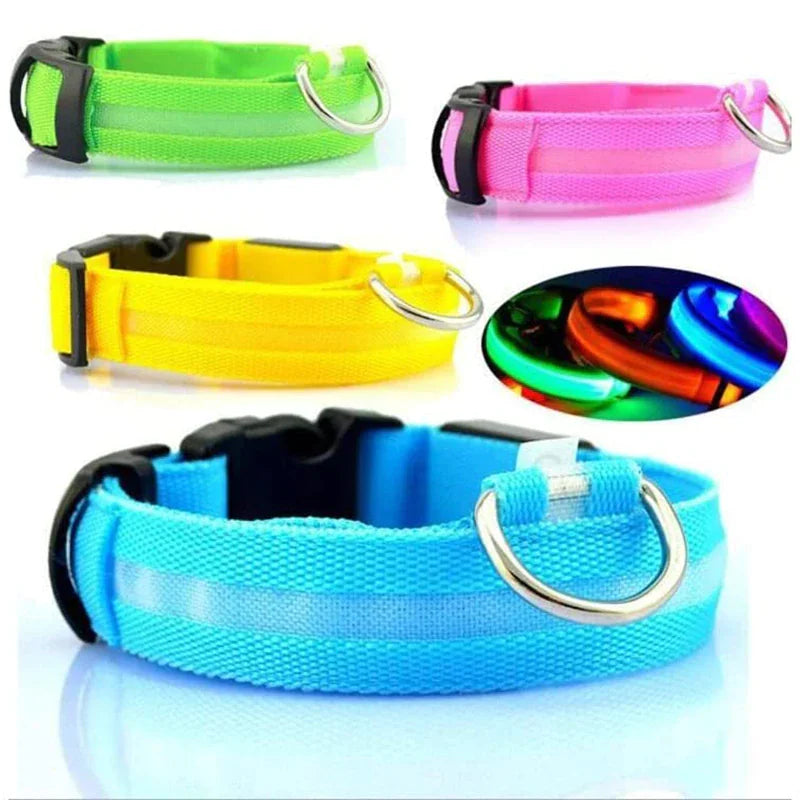 Light Up Dog Leash