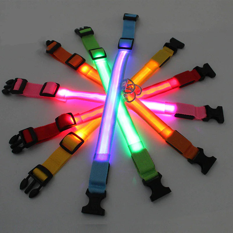 Light Up Dog Leash