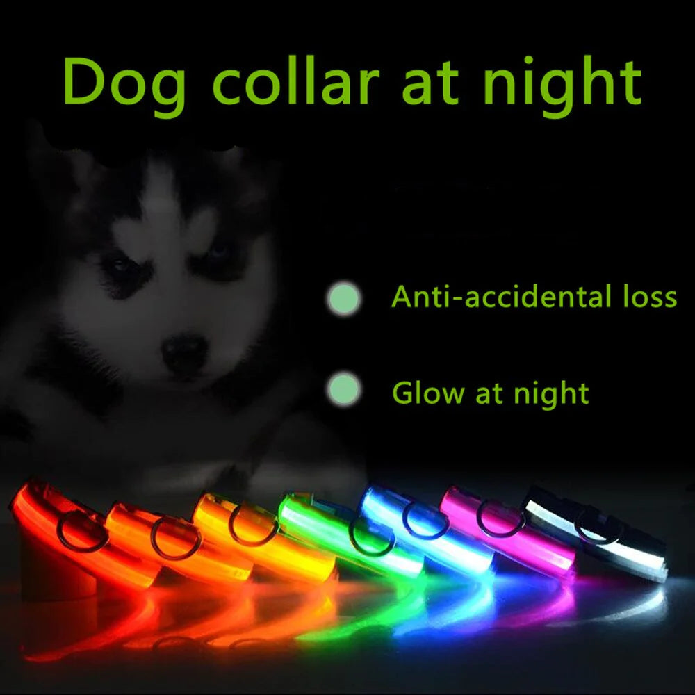 Light Up Dog Leash