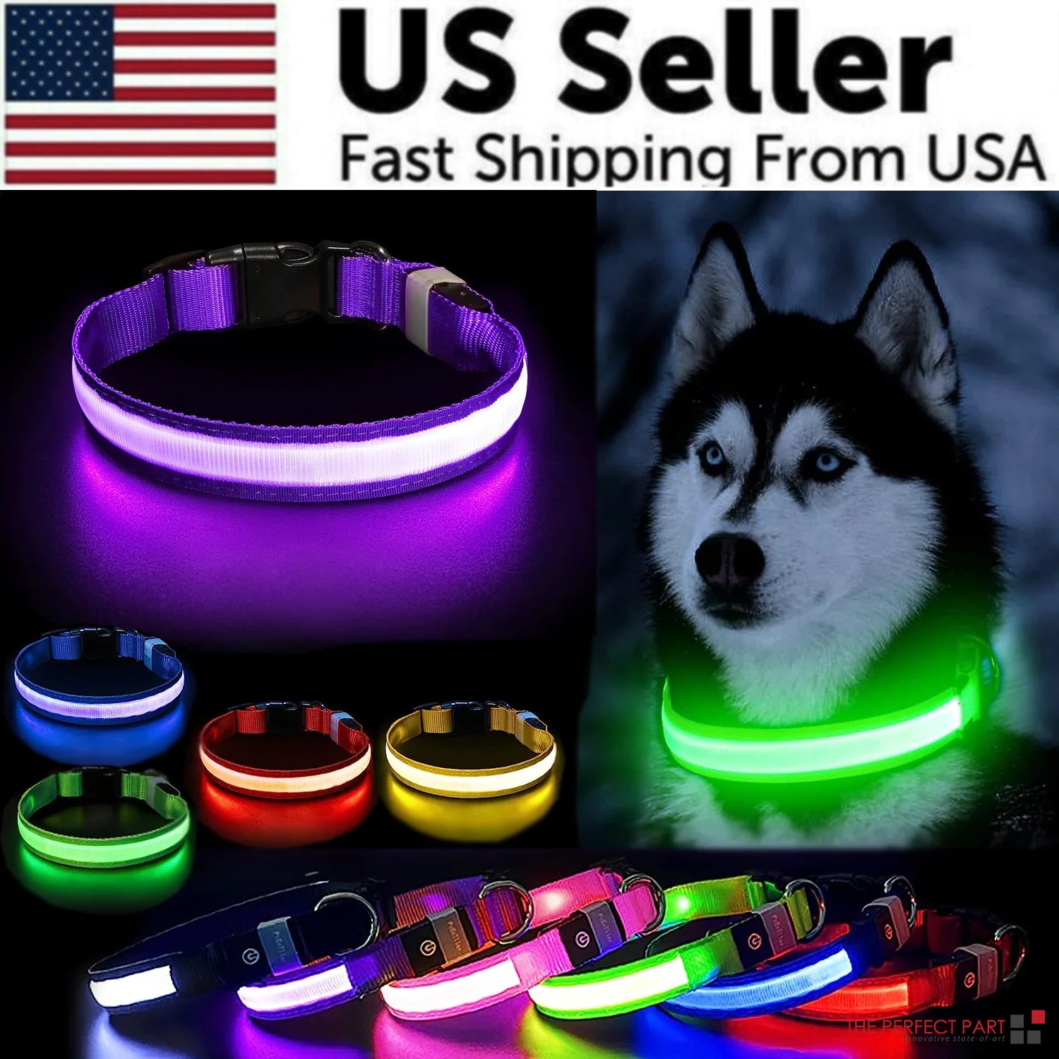 Light Up Dog Leash