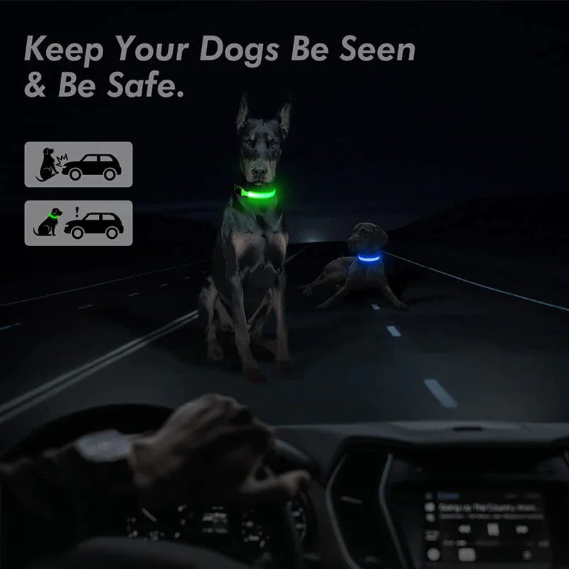 Light Up Dog Leash