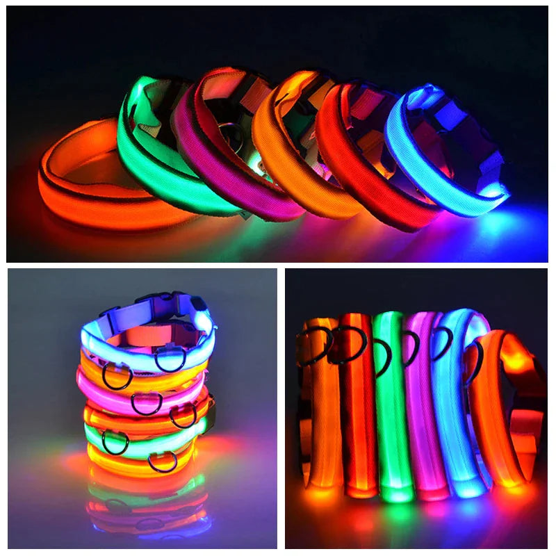 Light Up Dog Leash