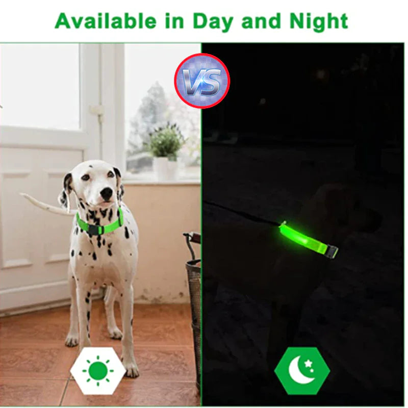 Light Up Dog Leash