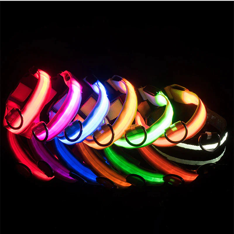 Light Up Dog Leash