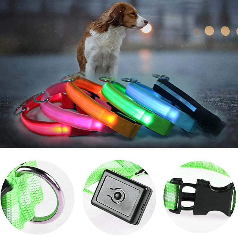 Light Up Dog Leash