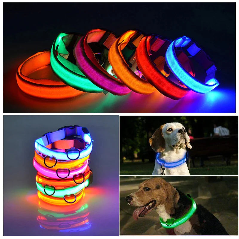 Light Up Dog Leash