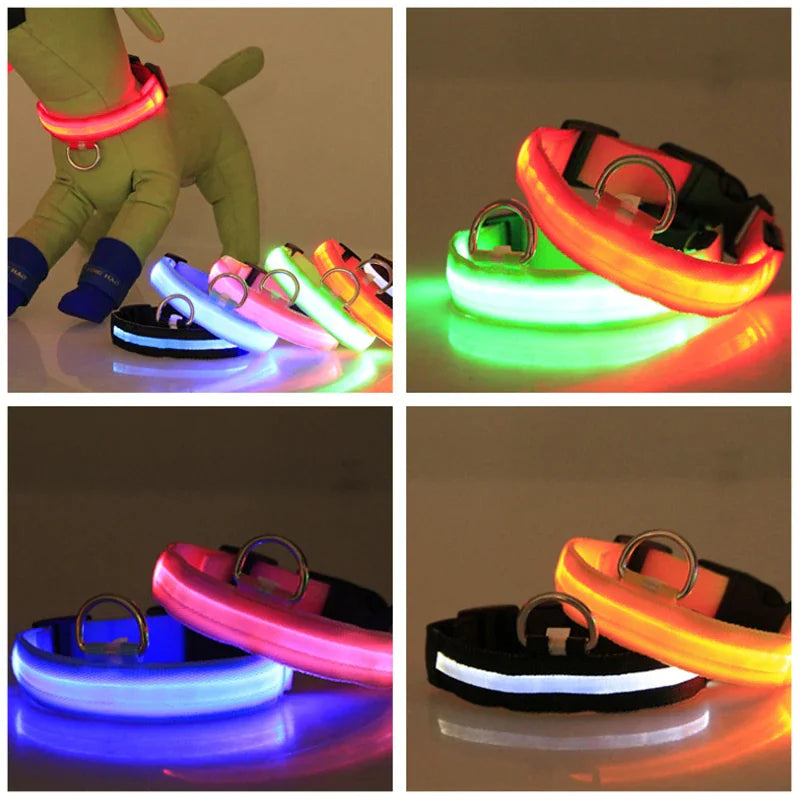 Light Up Dog Leash