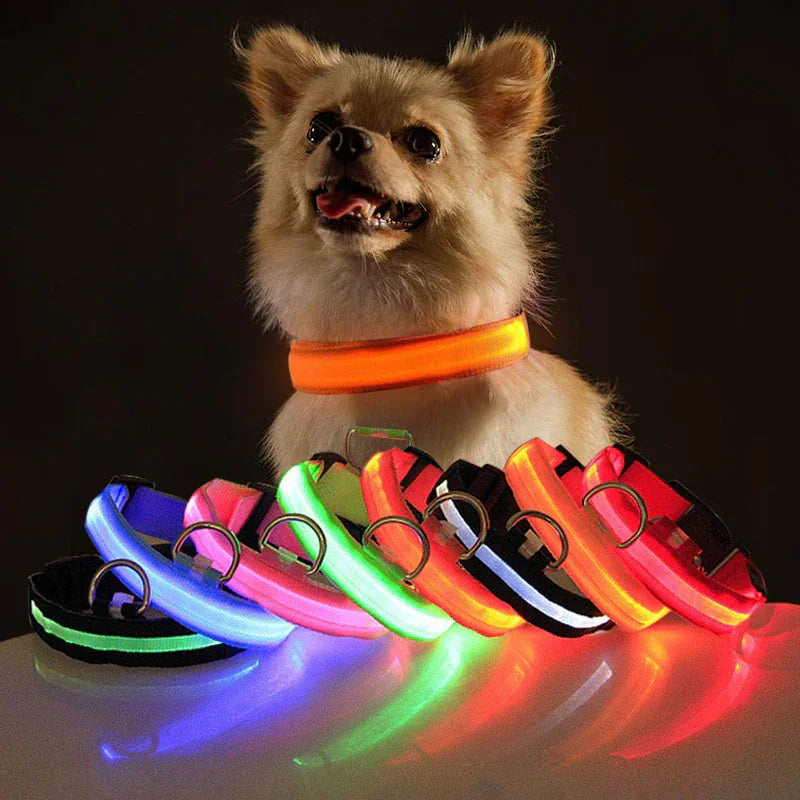 Light Up Dog Leash